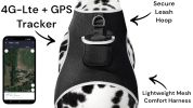 Small Portable Security Monitor Realtime Mini Waterproof Pet Tracker Size:M